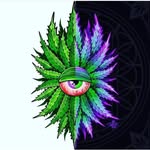 Dylan High - @dylans_high - Instagram