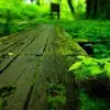 Dylan Hills - @dylan.hills6 - TikTok