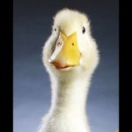 Dylan Hinrichs - @ankenyhawksdude - Instagram