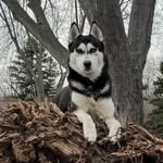 Dylan Hintz - @dylan_hintz_01 - Instagram