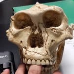 Dylan Hintz - @dylan_j_hintz - Instagram