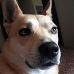 Dylan Hintz - Facebook
