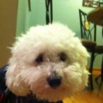 Dylan Hinz - Facebook