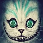 Dylan Hite - @i_love_caitlin420 - Instagram