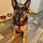 Dylan Hochstetler - @dylanhochstetler2005 - Instagram