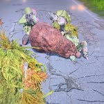 Dylan hofer - @dayzxboxhofer19 - Instagram