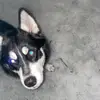 Dylan Hoff - @dylanhoff3 - TikTok