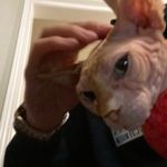 Dylan Hogan - @dhogggg - Instagram