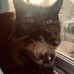 Dylan Hogue - Facebook