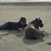 Dylan Hogue - Facebook