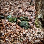 Dylan Holbert - @backwoodsphotos01 - Instagram