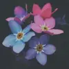 Dylan Holden - @dylanholden - TikTok