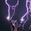 dylanholden - @dylanholden0 - TikTok