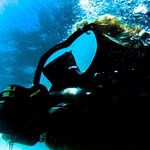 Dylan Hollis - @divedylan - Instagram