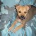 Dylan Holshouser - Facebook