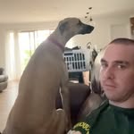 Dylan Holt - @dylanholtyy - Instagram