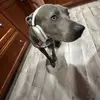 dylan.mahomey - @dylan.mahomey - TikTok