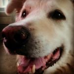 dylan horner - @dh_personal_ - Instagram