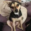 Dylan Horner - @dylanhorner0 - TikTok