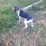 Dylan Hurst - @hurst1306 - Instagram