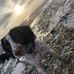 Dylan Hyde - @dylanh218 - Instagram