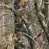 Dylan Isaacs - @dylan.isaacs6 - TikTok