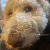 Dylan - @dylanjacobsen - TikTok
