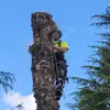 dylan - @dylanjensen92 - TikTok