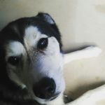 Dylan Jensen - @djensen296 - Instagram