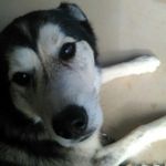 Dylan Jensen - @dylan_jensen_2580dj_ - Instagram