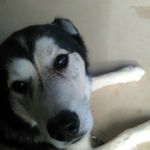 Dylan Jensen - @dylanjensen296 - Instagram
