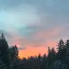 dylan_john99 - @dylan_john99 - TikTok