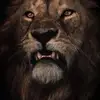 Dylan Kaiser - @dylan.kaiser41 - TikTok