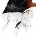 Dylan Kelner - Facebook
