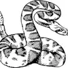 Dylan Kelsch - @dylan.kelsch2 - TikTok