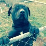 Dylan Kemble - @kdylan2864 - Instagram