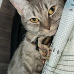 Đ Đ D U Y 0 9 0 9 - @dylan_key_99 - Instagram