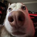 Dylan - @_dylan_key_ - Instagram