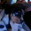 ☆Dylan☆ - @dylan.king297 - TikTok