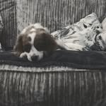 Dylan_kinsella_2k18 - @dylan_kinsella_2k18 - Instagram
