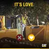 dylanonthedozer - @dylankinsey10 - TikTok