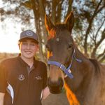 Dylan Kitchenn - @dylan_kitchenn - Instagram