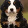 Dylan Klein - @dylan.klein7 - TikTok