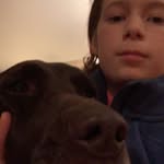 Dylan Klingbeil - @dylanklingbeil - Instagram