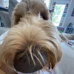 Dylan Kloepfer - Facebook