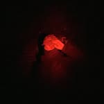 Dylan Knipe - @gangsterman74 - Instagram
