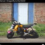 Dylan Knowles - @dylan_knowles_aph - Instagram