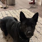 Dylan Koch - Facebook