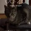 Dylan Kole - @dylan.kole7 - TikTok