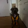 dylan - @dylankrone - TikTok